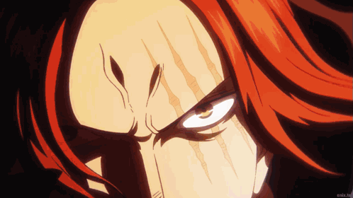 Shanks