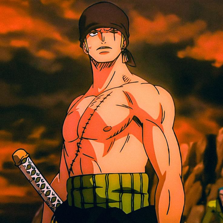 Zoro Post-Timeskip