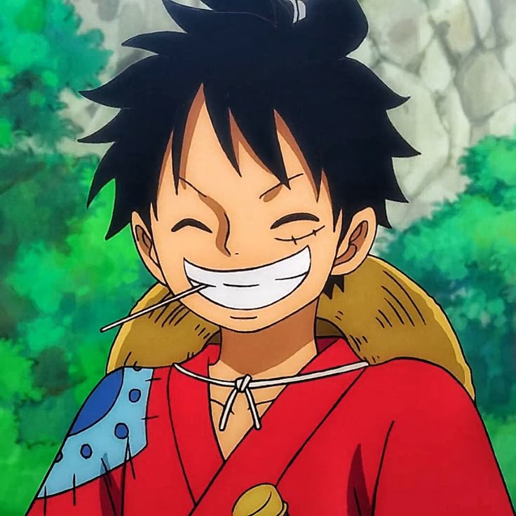 Luffy Smile